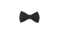 Black fabric DIY animal bow tie accessory on white background